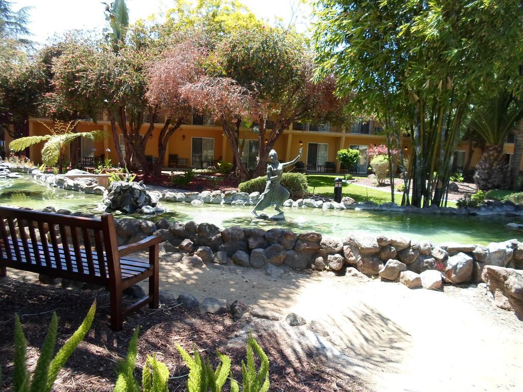 Airport Garden Hotel 3*