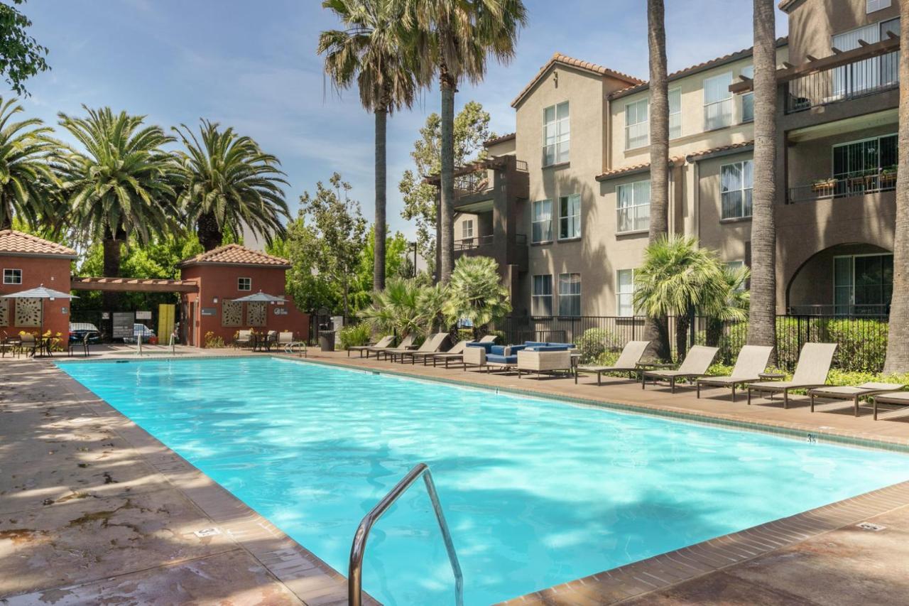 - The Alameda 2br W Gym Pool Sfo-1153