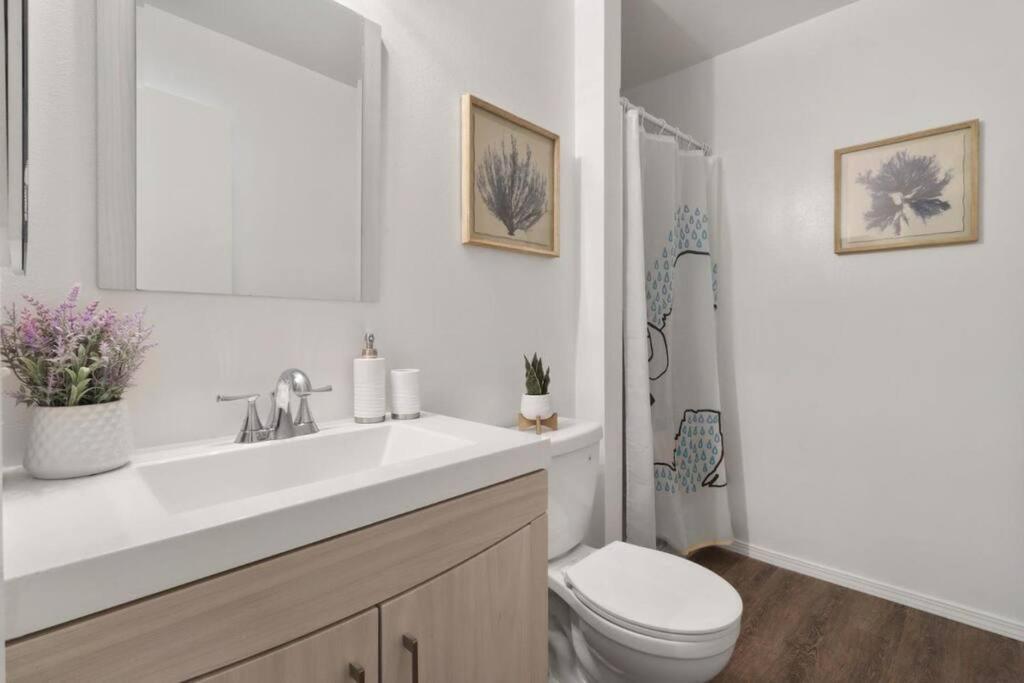 Lovely 3 Brs Pet-friendly House In Apartment San Jose