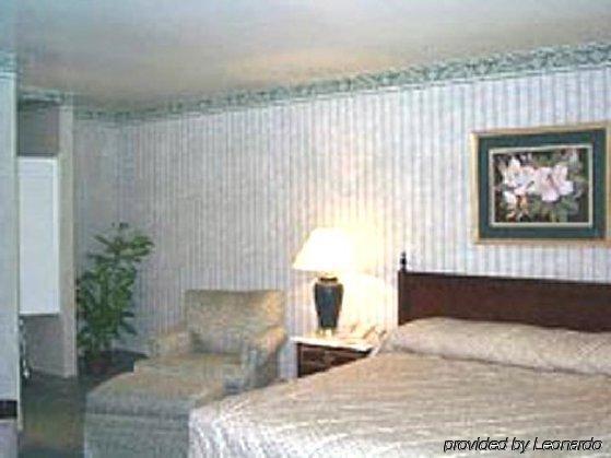 Caravelle Extended