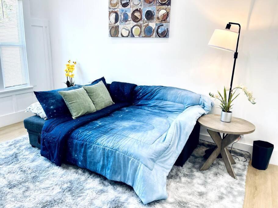 456a - Downtown Spacious 1br Home/parking/wifi