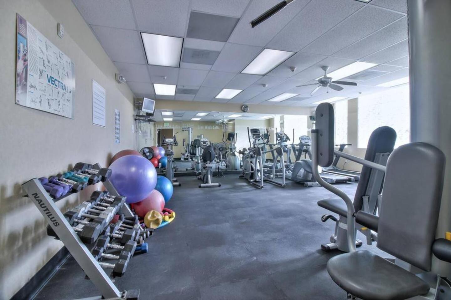 Sj Elite Loft Sleek Sophistication * San Jose