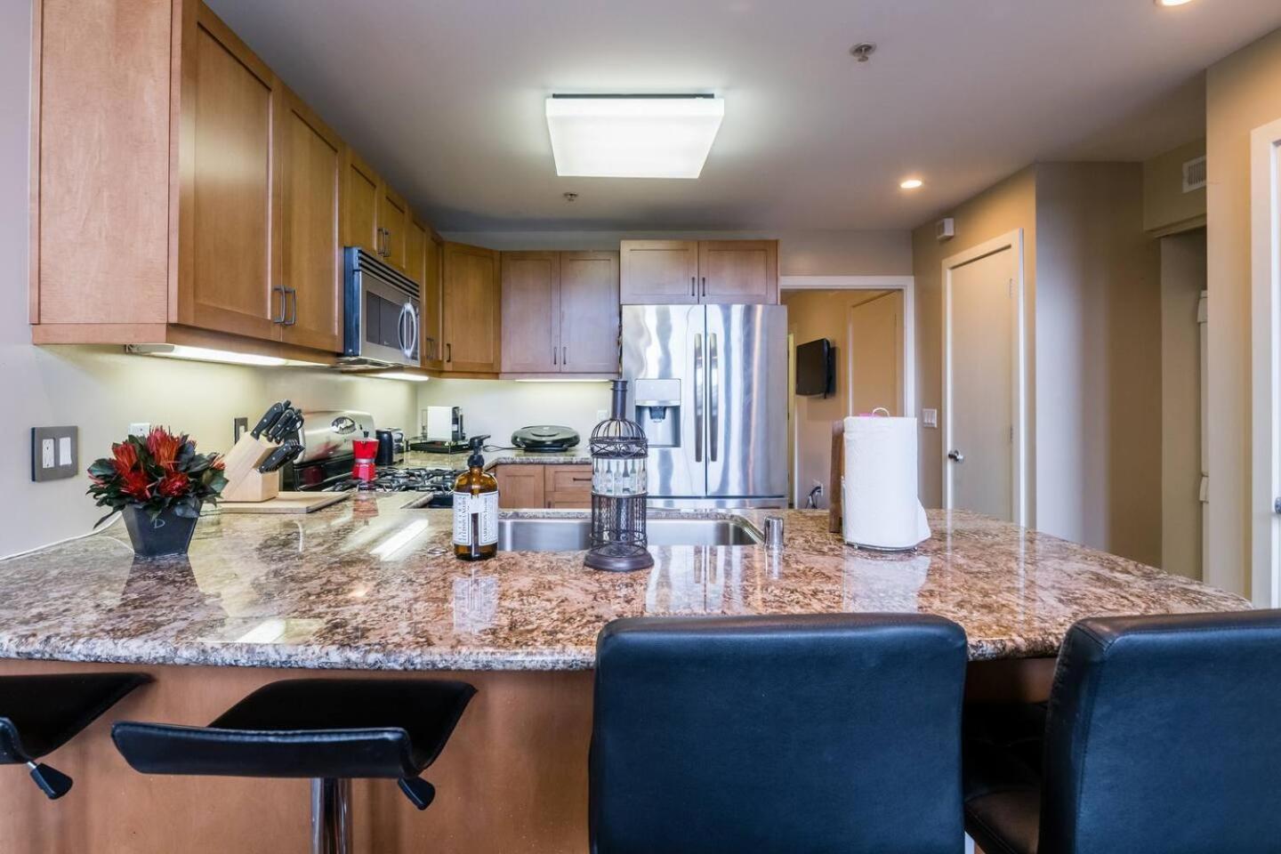 Sj Elite Loft Sleek Sophistication San Jose