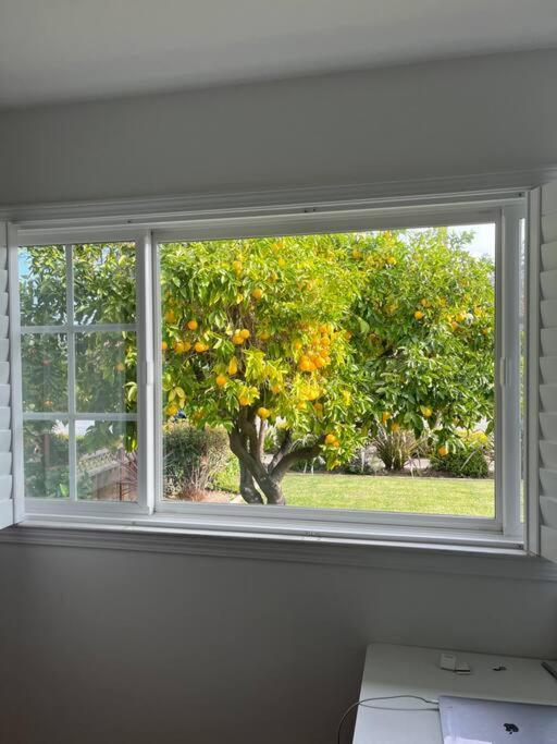 Wow Great Location Beautiful 4br 3ba House Better Than Holiday home San Jose
