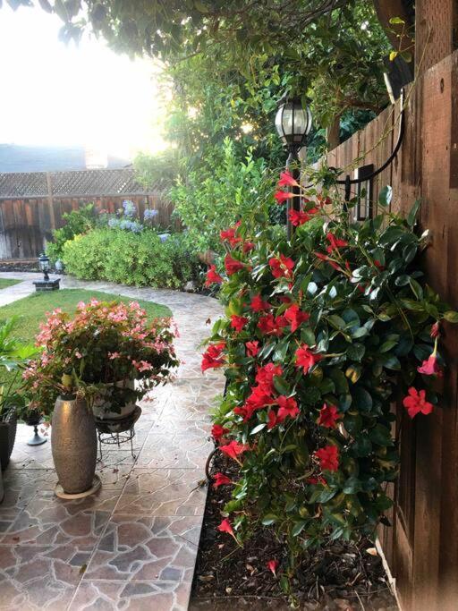Gorgeous House In A Great And Campbell Area Hotel San Jose
