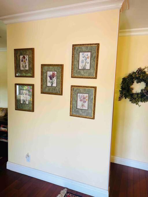 Gorgeous House In A Great And Campbell Area Hotel San Jose
