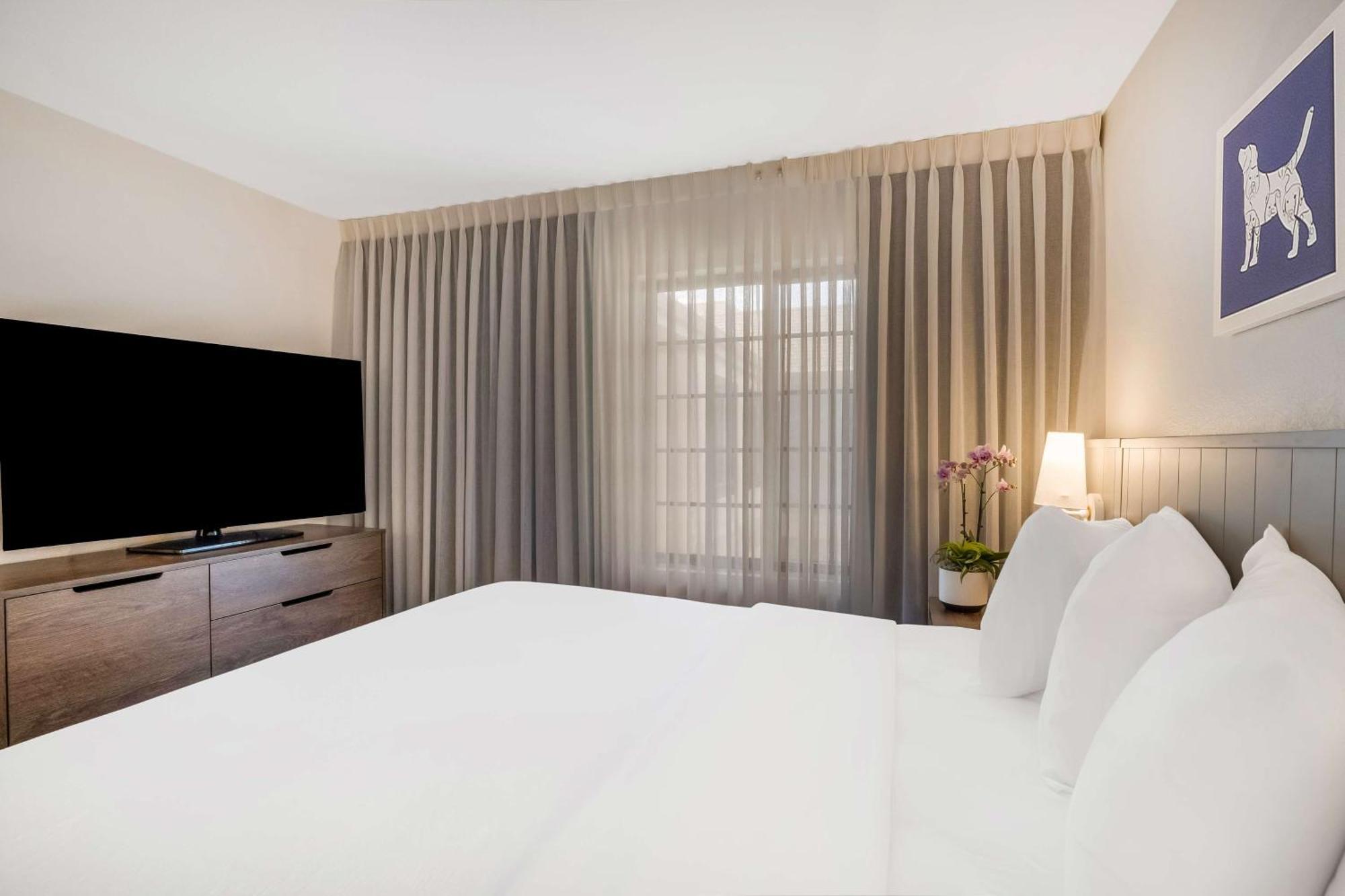 Sonesta Es - Airport Hotel