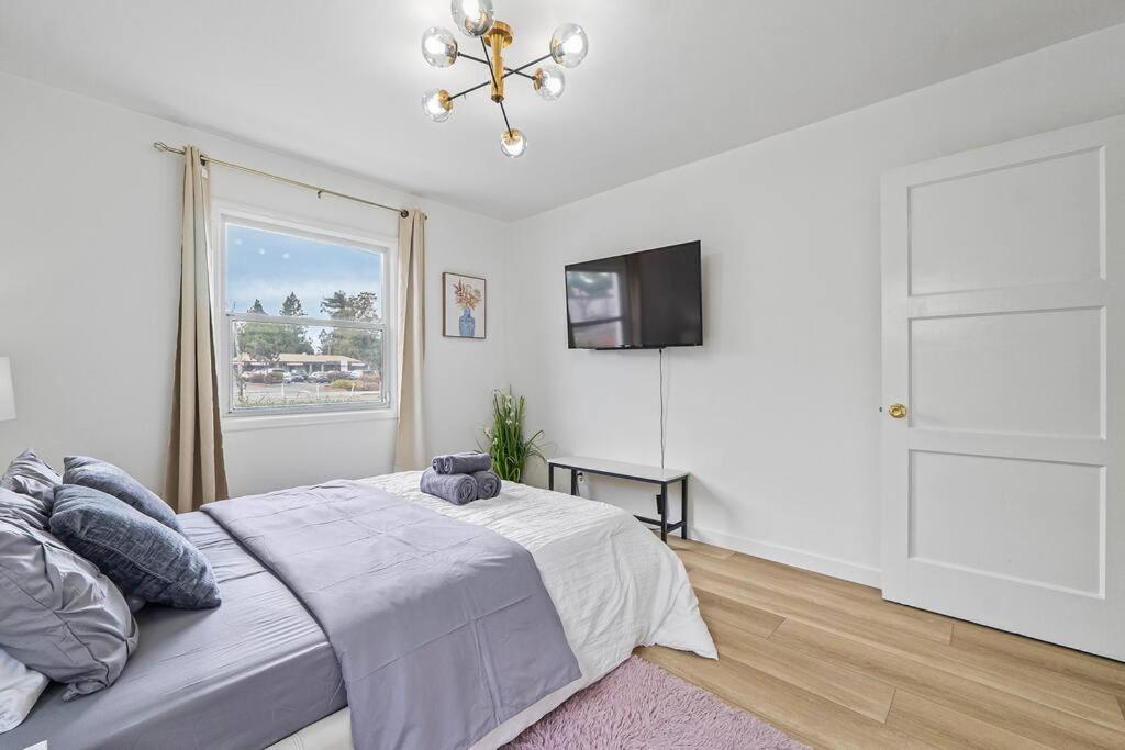 Sj Charm 3br House - Beautiful Renovation San Jose