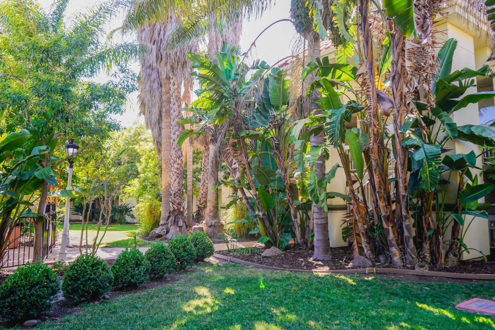 Uptown Oasis Airport 3* San Jose