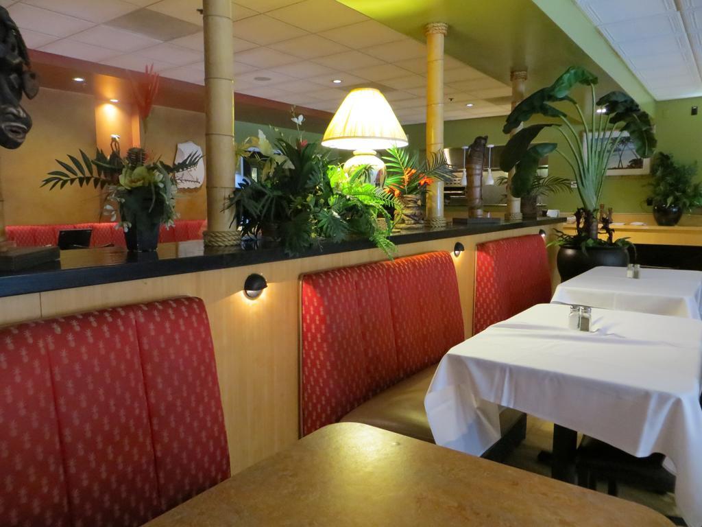 Hotel Wyndham Garden Airport 3*