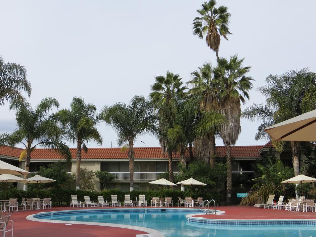 Wyndham Garden Airport 3*