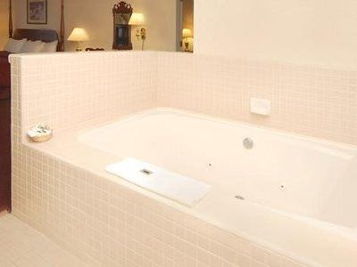 Clarion Silicon Valley Hotel