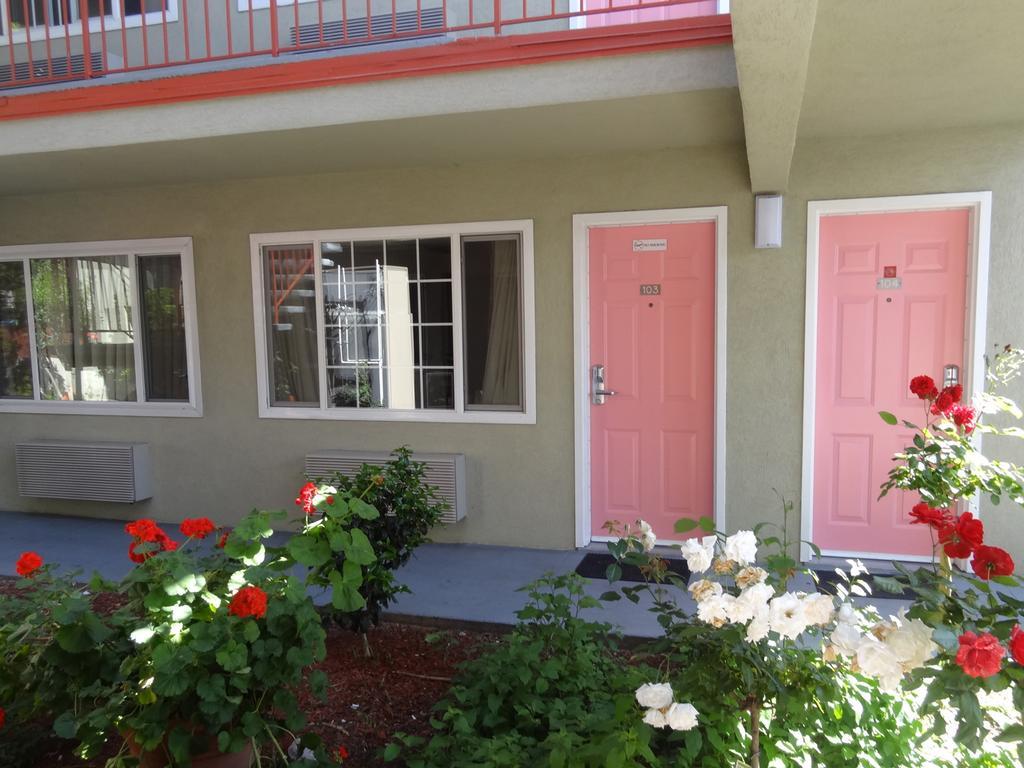 Motel The Flamingo 2*