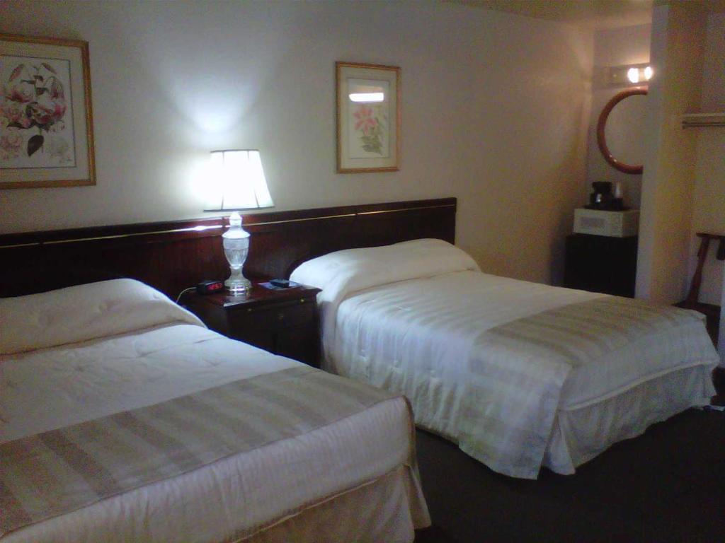 Caravelle Extended 2* San Jose