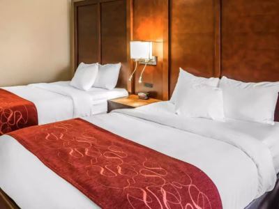 Comfort Airport Hotel