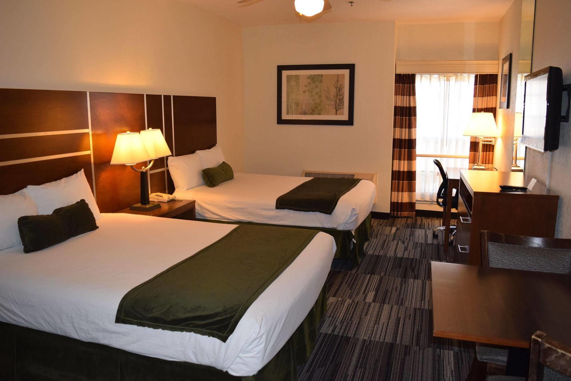 Hotel Arena 3*