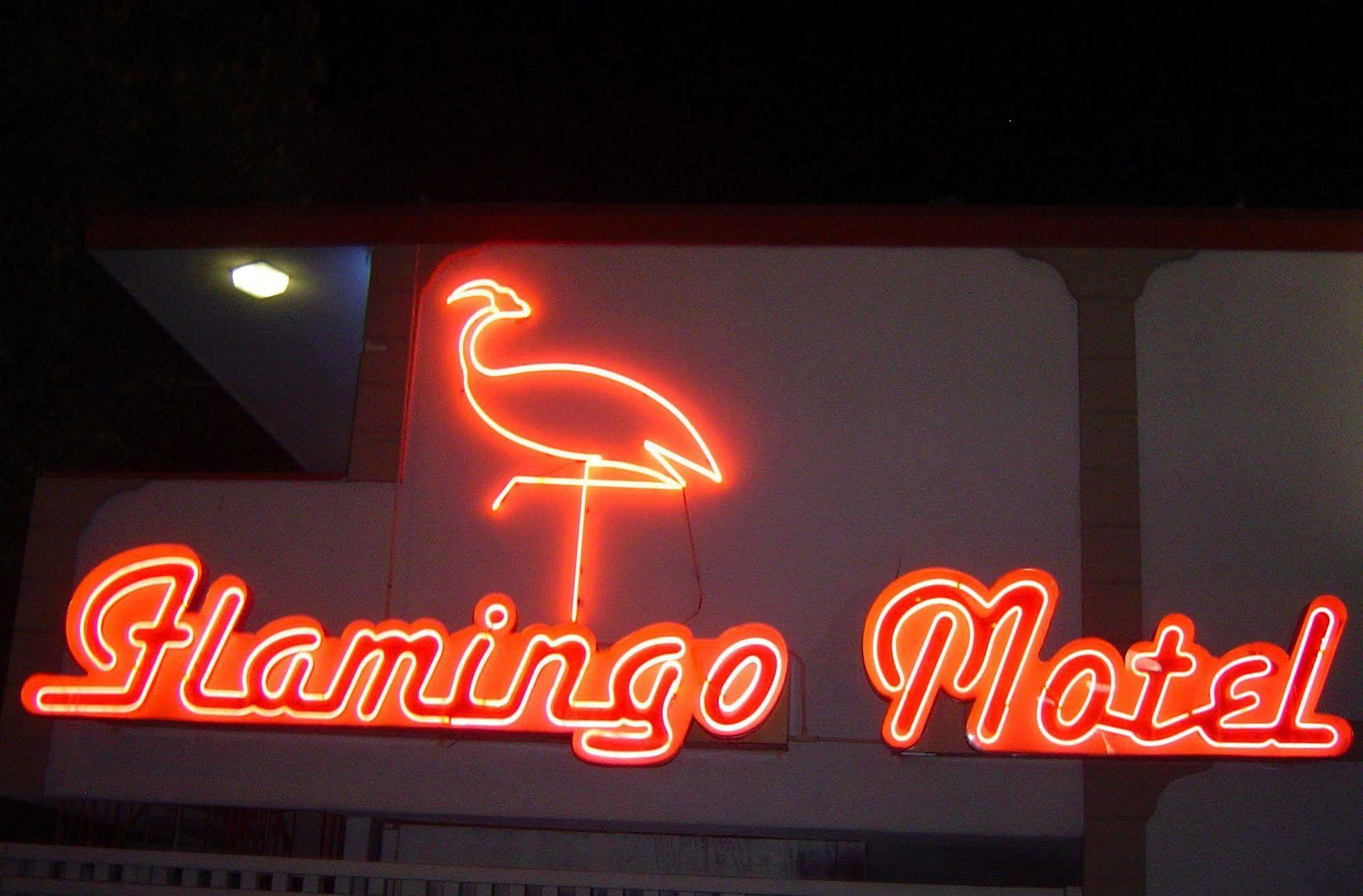 Motel The Flamingo San Jose