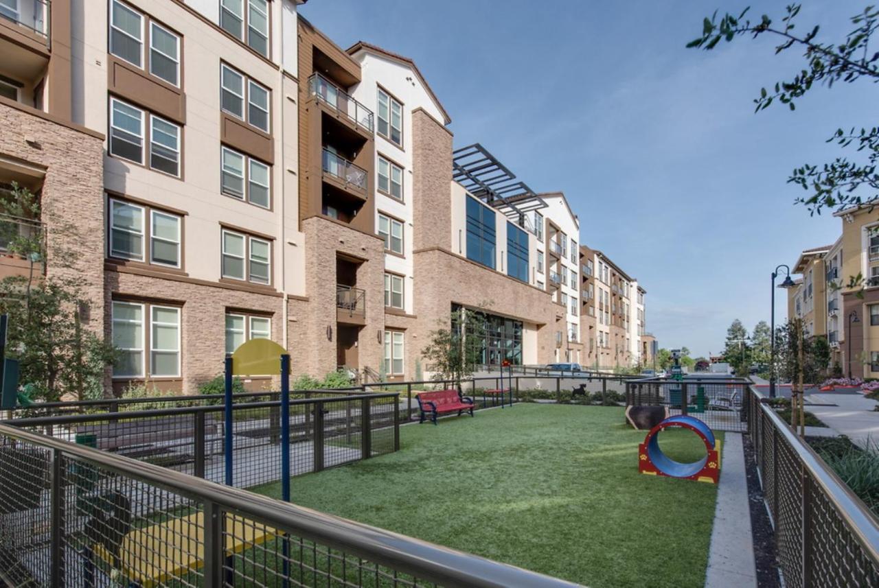 Global Luxury Suites At Epic Way San Jose