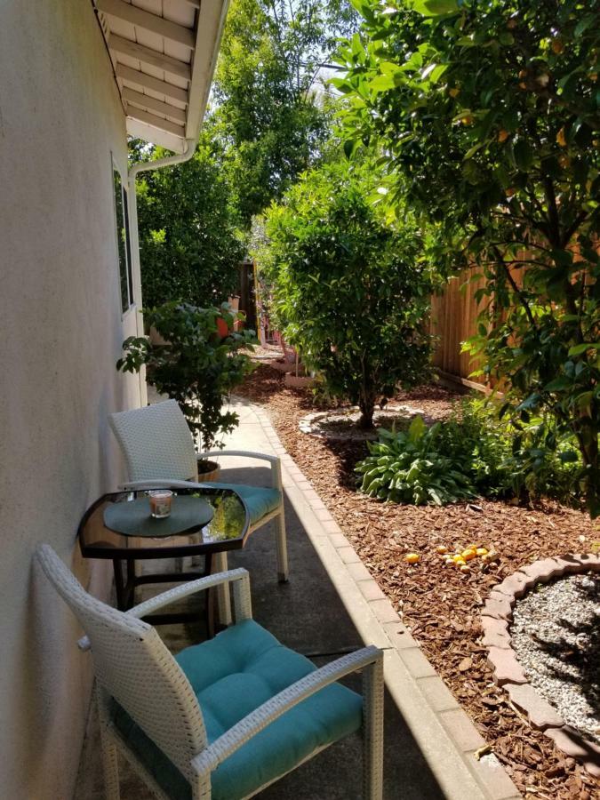 Luxury 2br/1ba Oasis In Ca *