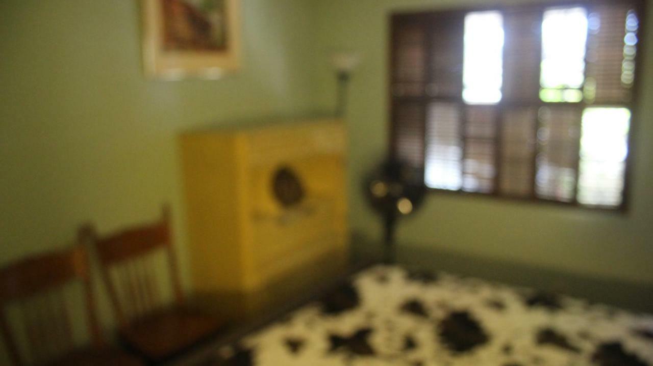 Mark's Poolside Retreat * São José