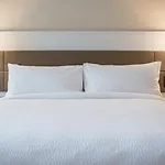 Ac Hotel By Marriott San Jose Downtown