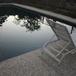 Mark\'S Poolside Retreat