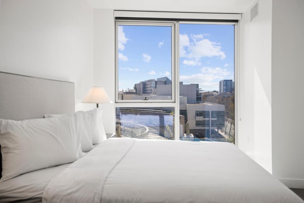 Whyhotel By Placemakr, * São José