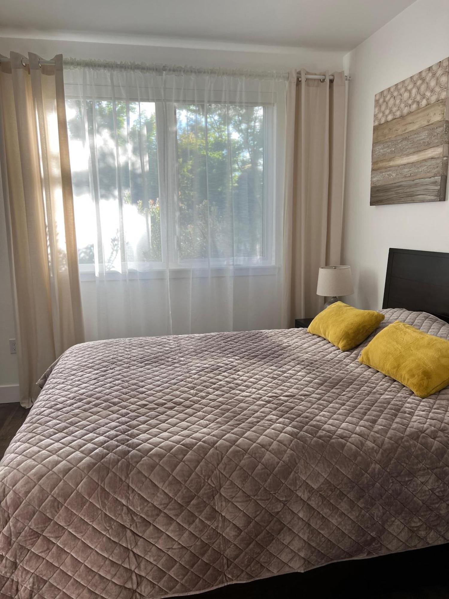 Apartment Sale 10 Min To Sjc Close To Santana Row With Free Parking San Jose