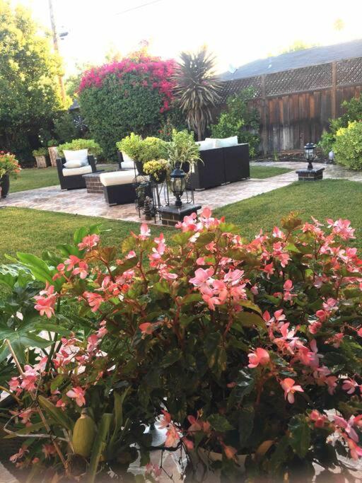 Gorgeous House In A Great And Campbell Area Hotel *