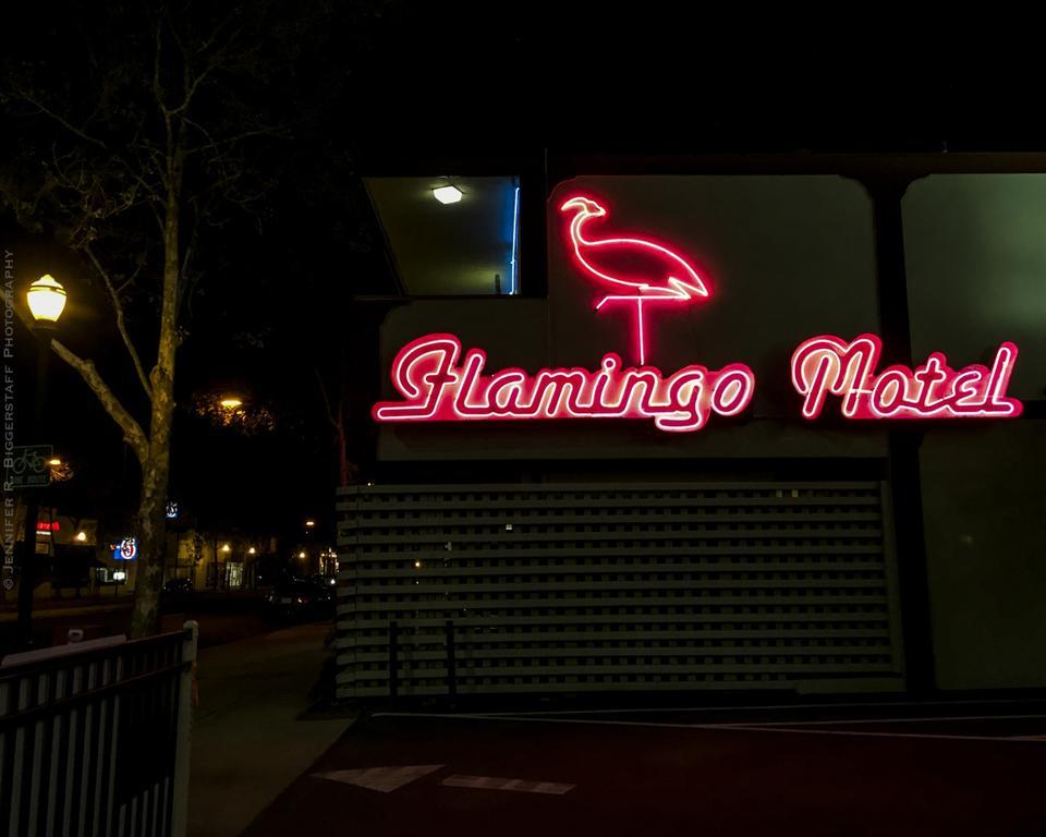 Motel The Flamingo 2*