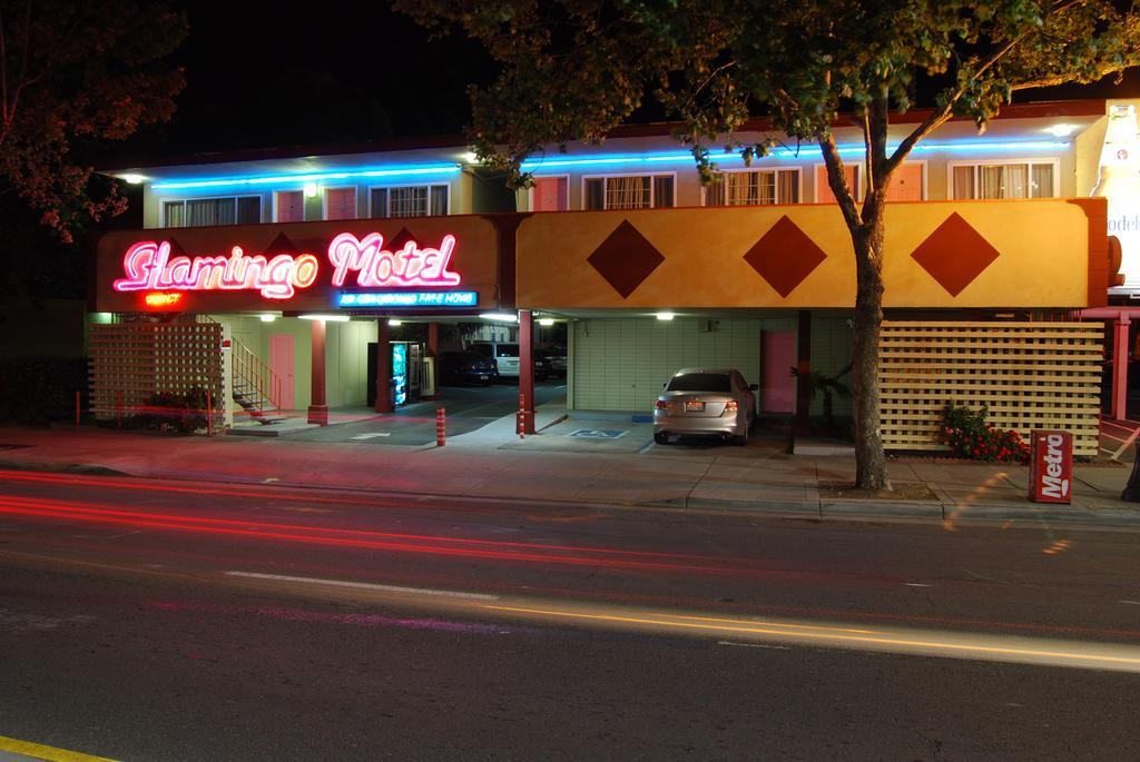 The Flamingo San Jose