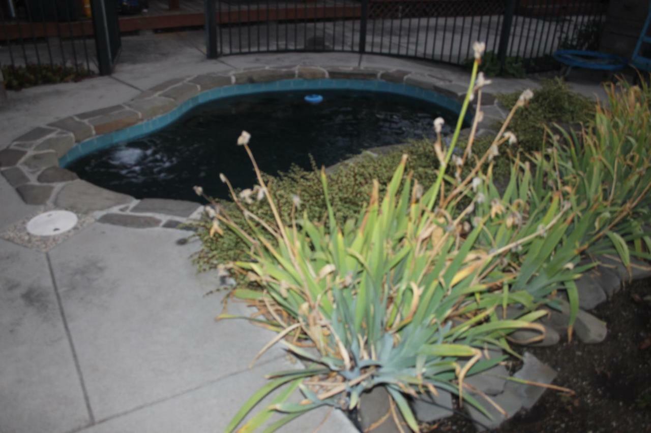 Mark's Poolside Retreat Homestay
