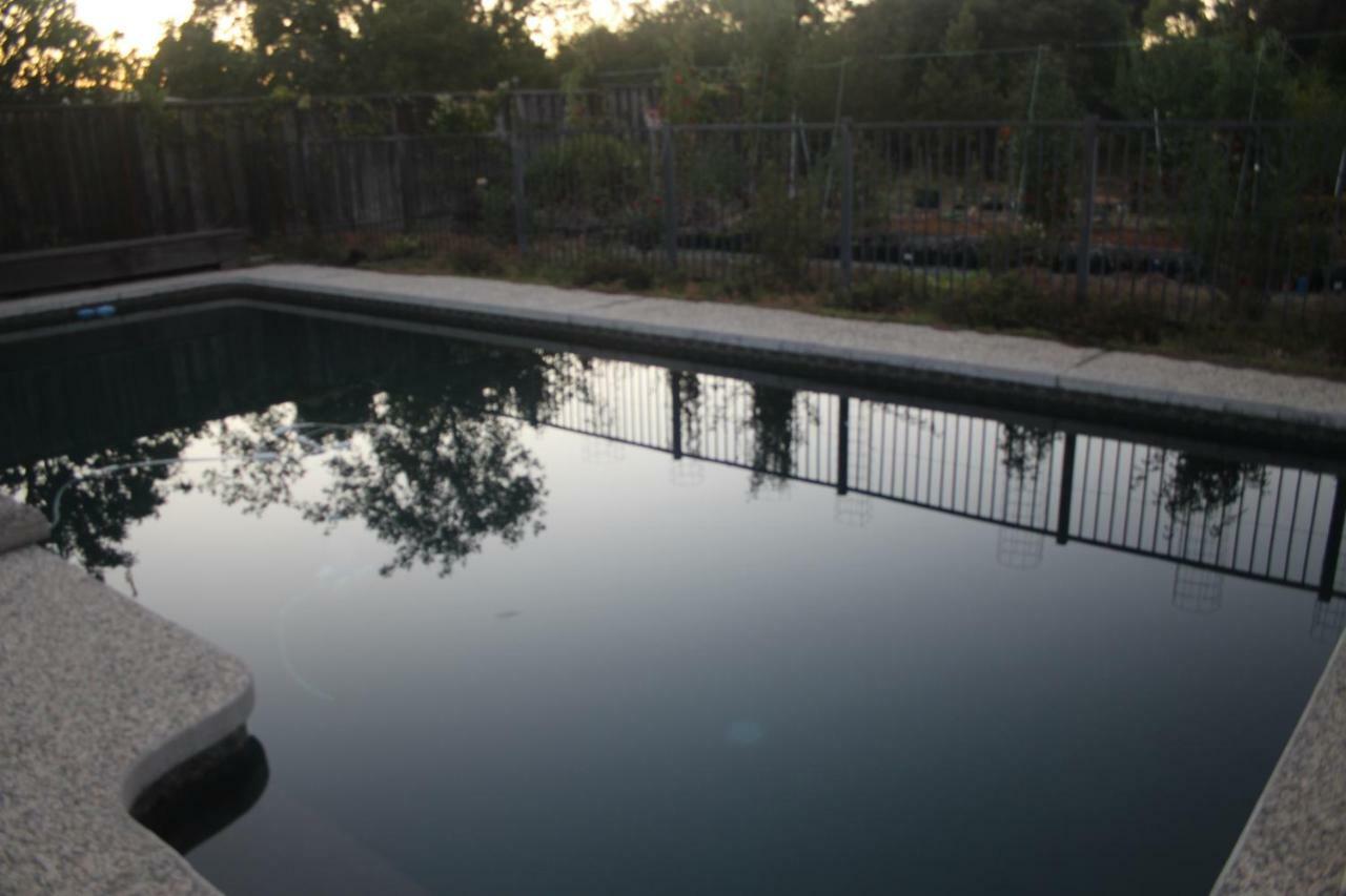Mark's Poolside Retreat San Jose