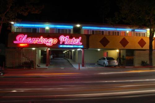 The Flamingo